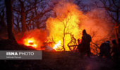 کمیسیون شوراهای مجلس: دخالت انسانی علت اصلی آتش‌سوزی جنگل‌های هیرکانی