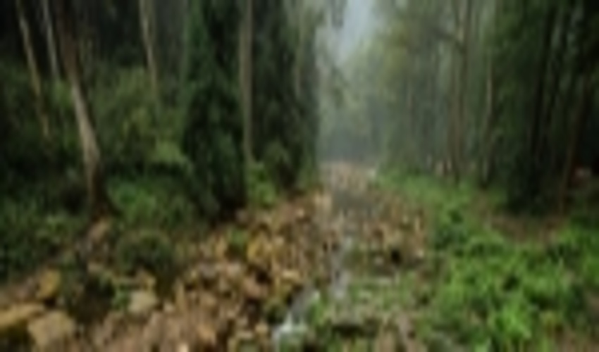 China to create new forests covering area size of Ireland: China Daily