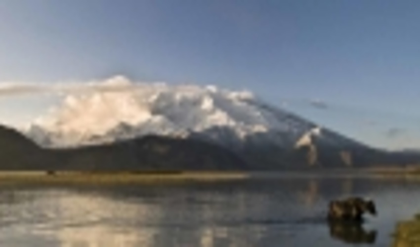 UNCCD presents Drought Initiative at UN-Water meeting