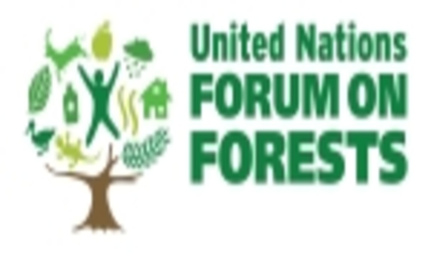 13th session of United Nations Forum on Forests (UNFF13)