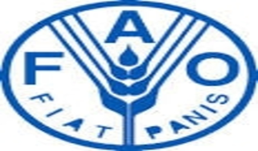 FRWO and FAO to Develop Cooperation