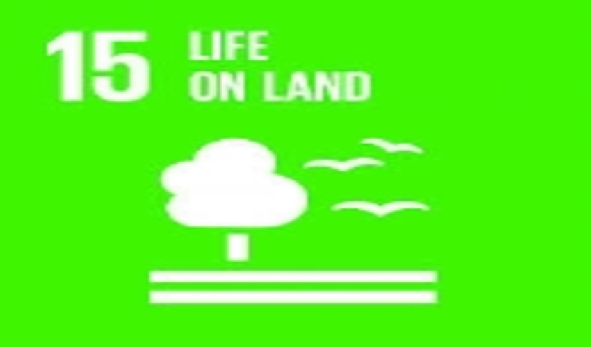 UNCCD hosts a discussion on LDN and the SDGs at LAC Sustainable Development Forum
