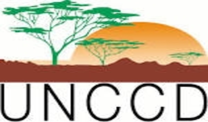 Land, climate and SDGs: priorities for action