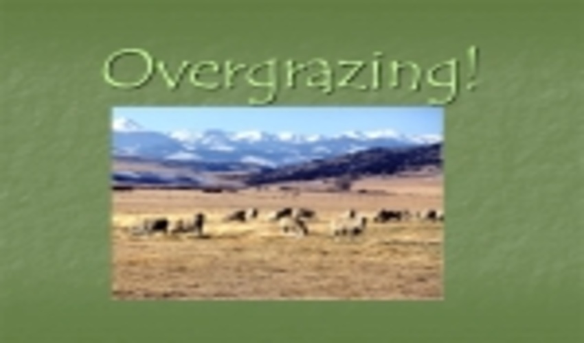 Pastures Threatened by Overgrazing 