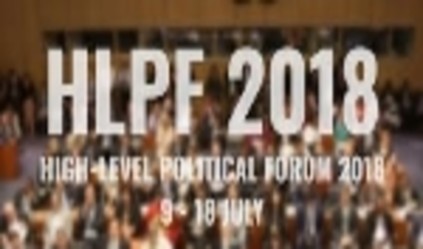 Expert Group provides key messages for July’s High Level Political Forum