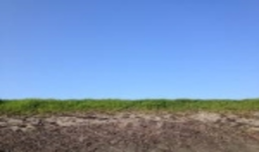 Getting landscape approaches off the ground, on the ground 