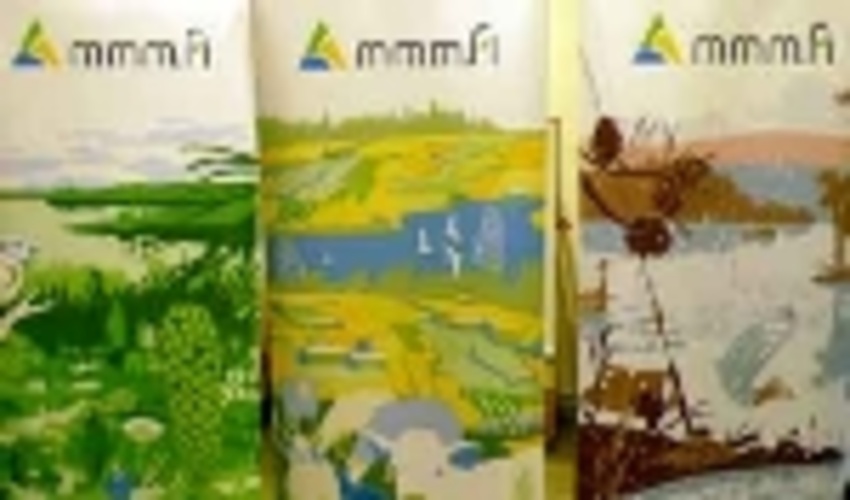 Forestry Strategies and programmes in Finland  