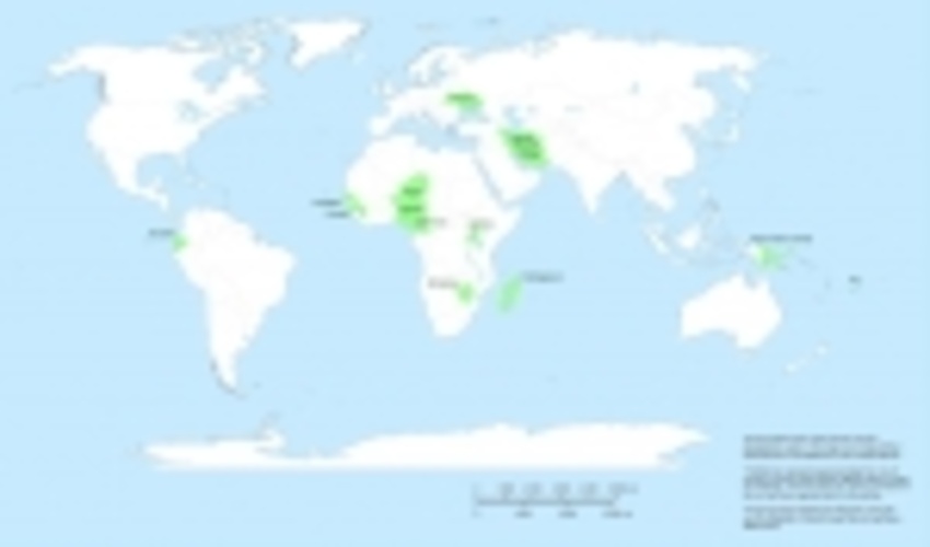 Global Forest Financing Facilitation Network (GFFFN)