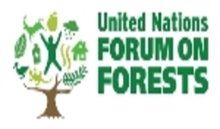 Validation workshop on the project proposal for sustainable forest management in Iran