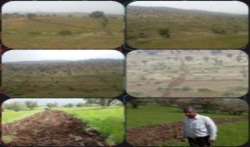 خلع ید ۶۰۰ هکتار از اراضی ملی در شهرستان چگنی