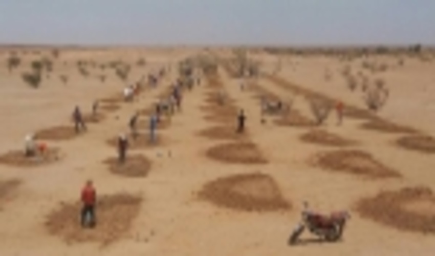 A plot of land: hope restoration in Agadez/ Niger