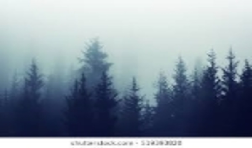 Countries in the boreal coniferous forest zone met in Haparanda