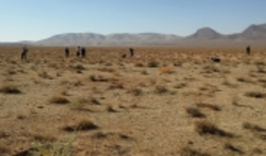 کاشت 60هزار نهال در طرح ترسیب کربن محلات کلید خورد