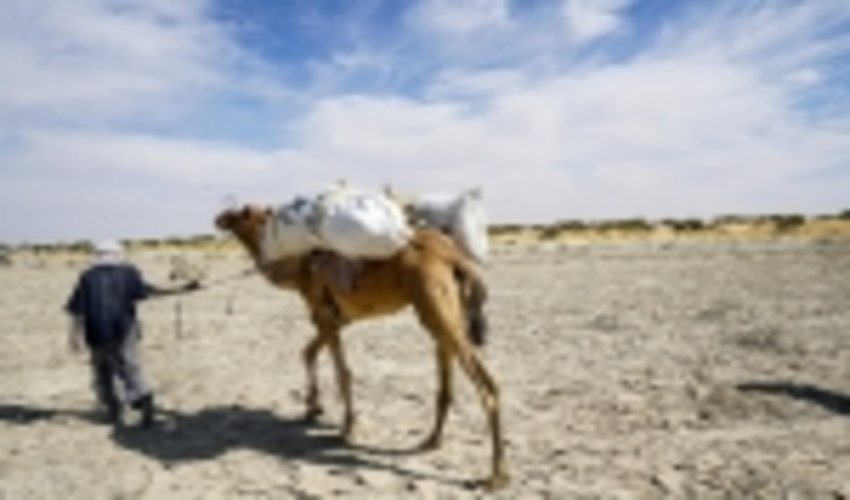 UNDP Chief says clock ticking on climate action