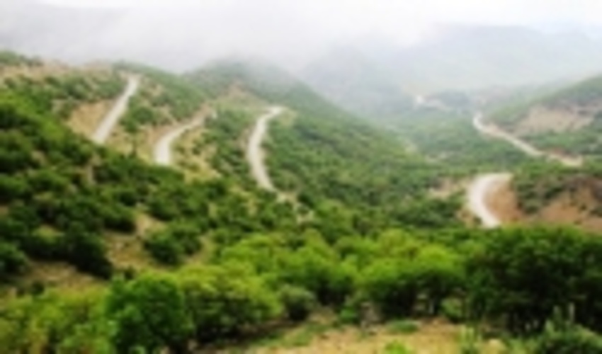 حفظ جنگل های کشور در گرو مشارکت مردم است