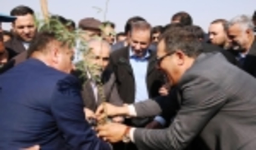 20,000 hectares in the southeast of Ahwaz region planted