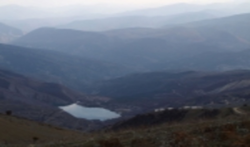 15 منطقه با تنوع زیستی بالا در جنگل‌های هیرکانی شناسایی شد