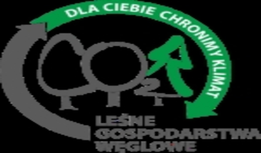 POLISH STATE FORESTS MOVE FORWARD THEIR CARBON FORESTS PROJECT