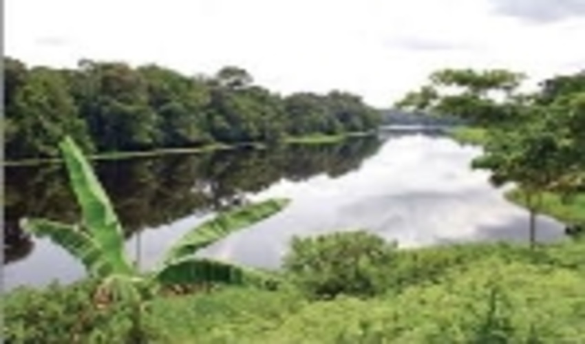 EU Bioeconomy Strategy seeks for a systematic approach to address the bioeconomy value chain