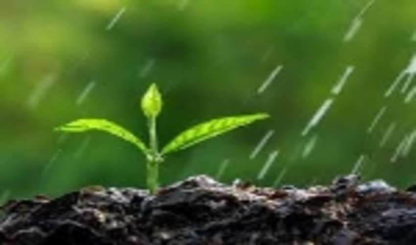 World Soil Day 2018 Message from Monique Barbut 