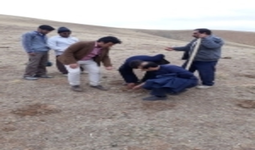 اجرای هفت پروژه بیولوژیک در حوزه جنگل استان کرمانشاه 