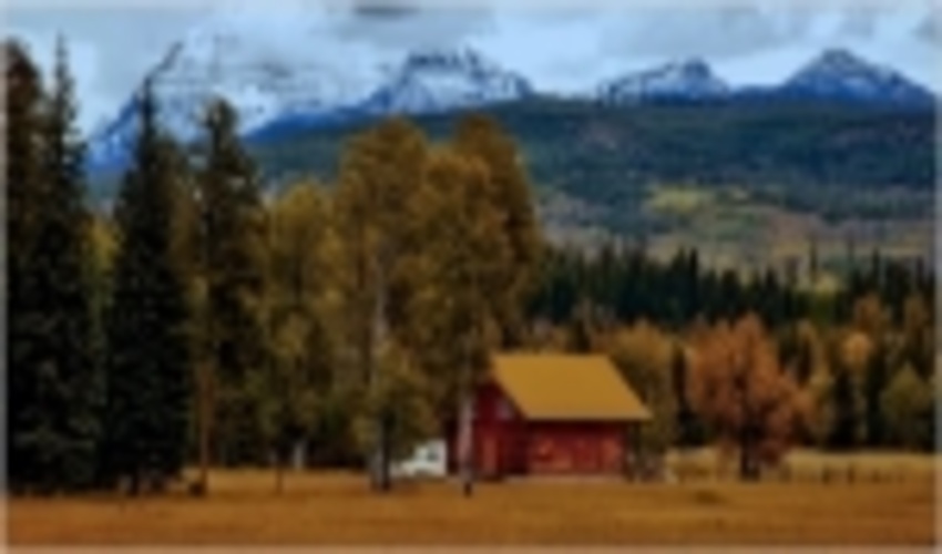 Who owns European Forests?