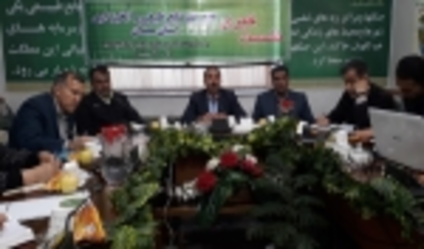 توزیع ۲۷ هزار اصله نهال بادام و گردو در استان همدان 