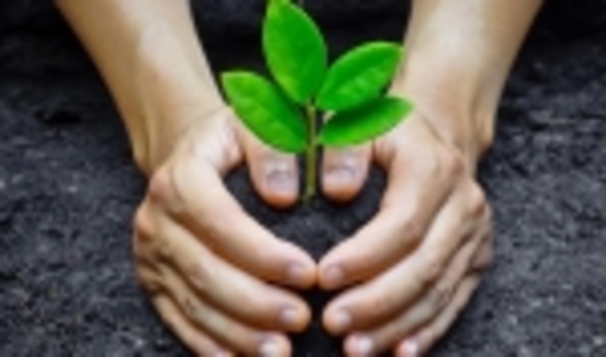 FRWO and Radio Payam join hands for planting 7,000 saplings