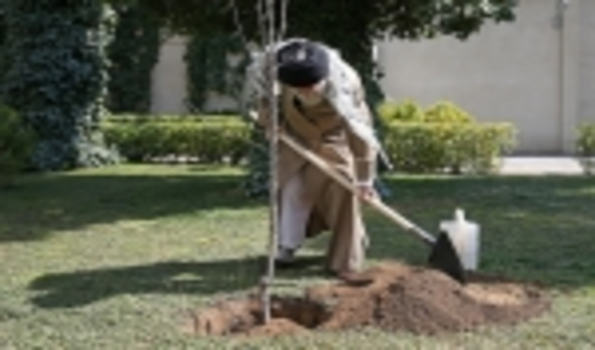 On National Day of Planting Trees, Ayatollah Khamenei planted tree saplings 