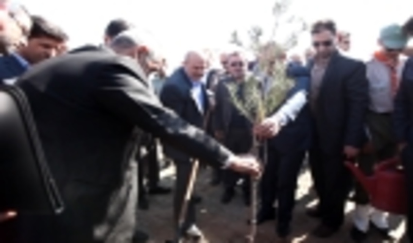 غرس نهال توسط معاون رئیس جمهور در پارک جنگلی ثامن‌الائمه(ع) قم