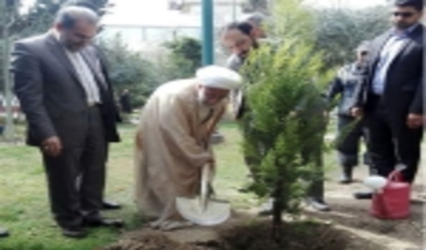 یک نهال توسط آیت الله جنتی غرس شد