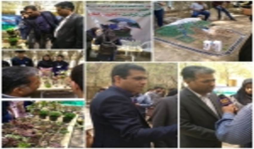 افتتاح نمایشگاه و کاشت نهال در دانشگاه هرمزگان انجام شد