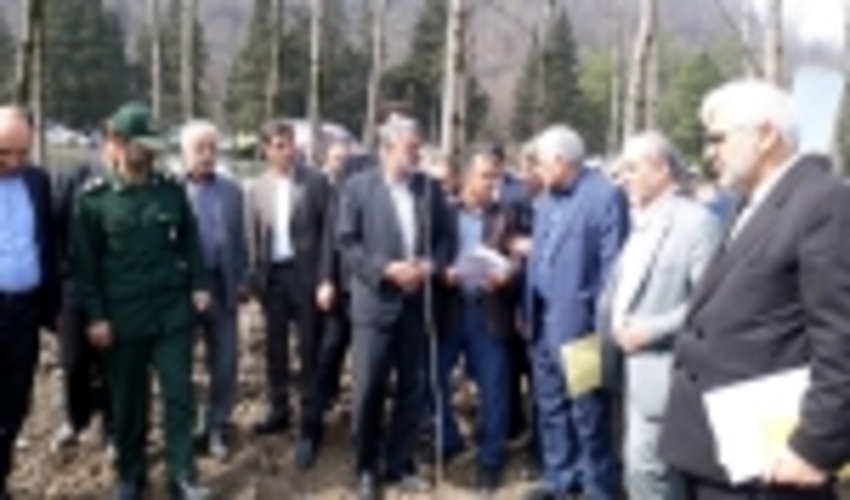 Minister of Agriculture Jahad Inaugurate Talesh Timber Cropping Project