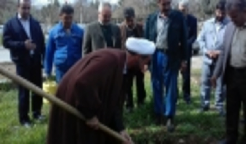 کرمانشاه/به یاد هر شهید نهالی بکاریم