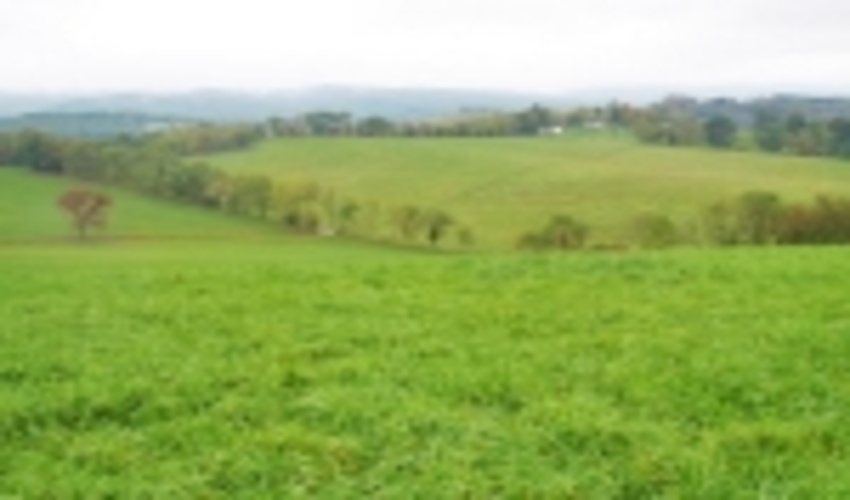 48 پروژه آبخیزداری، اصلاح و احیای مراتع در استان ایلام اجرا شد 