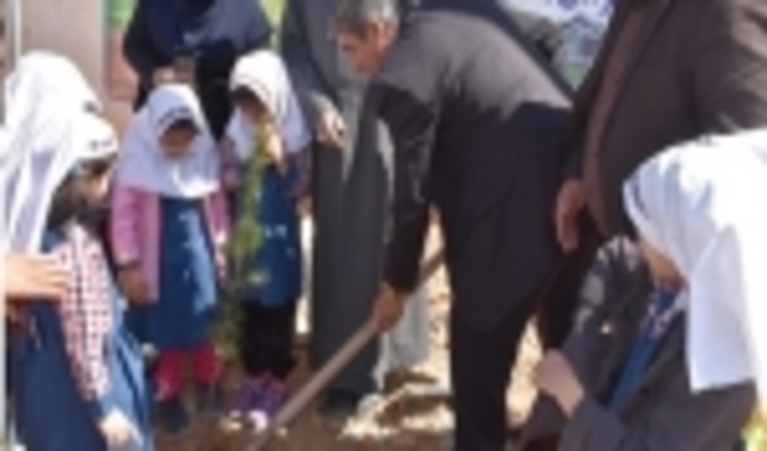 درختکاری مشترک شهرک‌های صنعتی و منابع طبیعی در یاسوج