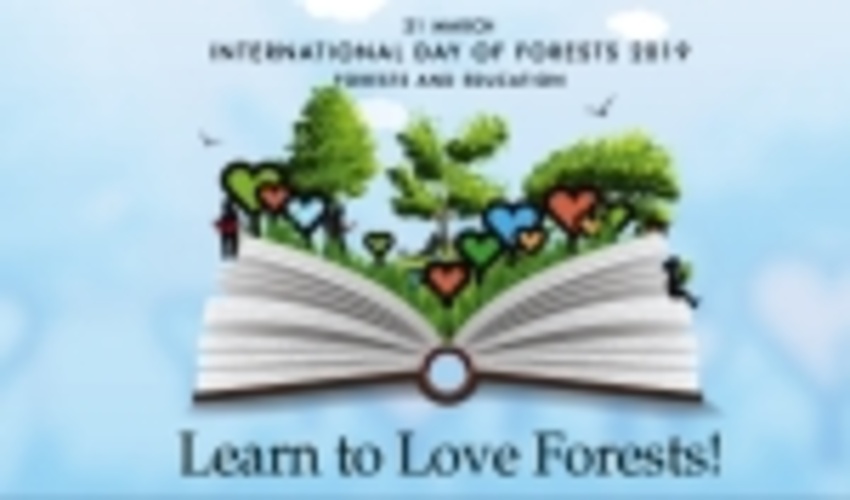 International Day of Forests 2019