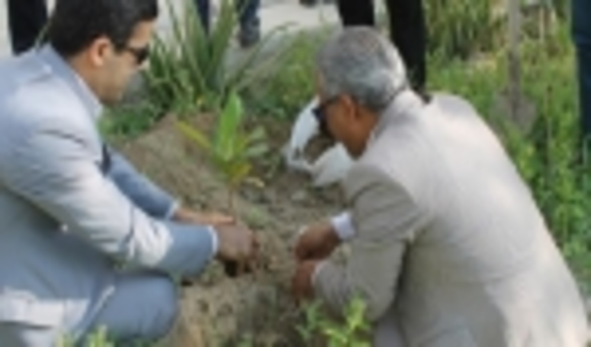 کاشت 19 نهال ایثار و شهادت به‌ یاد شهدای قشم 