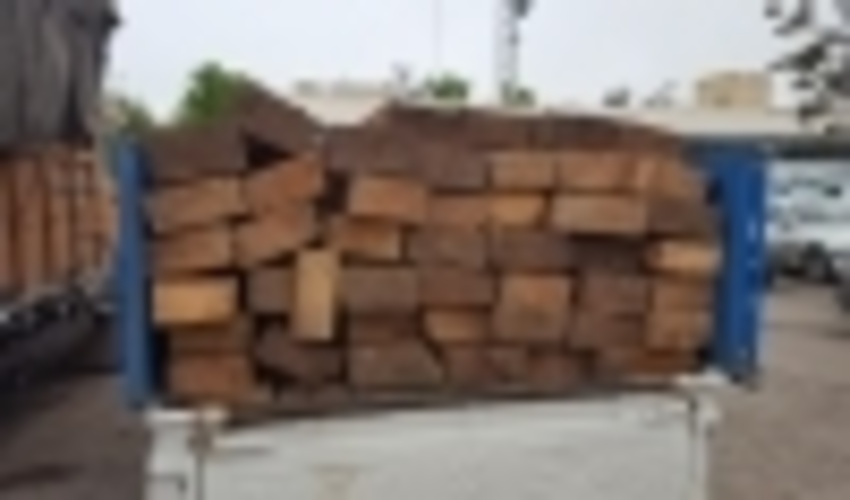 اردبیل / قاچاق چوب آلات قاچاق جنگلی تحت کنترل است