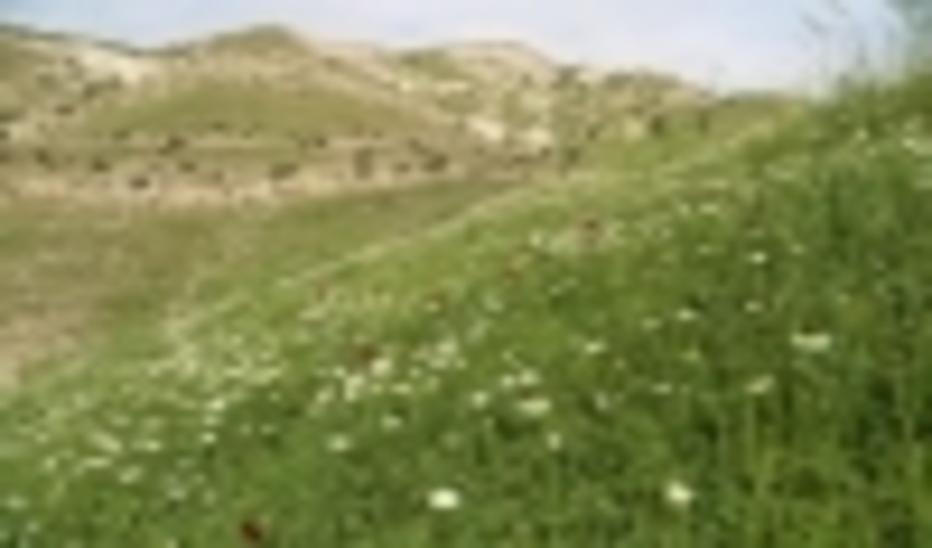 شهرستان ایوان از توابع ایلام الگویی موفق در اجرای طرح های مرتعداری ‏