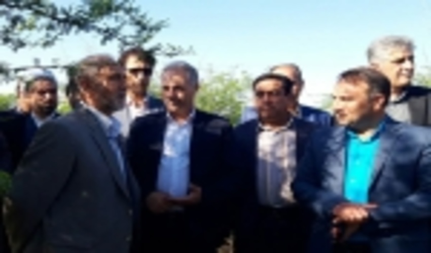 ۶ هزار میلیارد ریال برای جنگل کاری استان های زاگرسی هزینه می شود