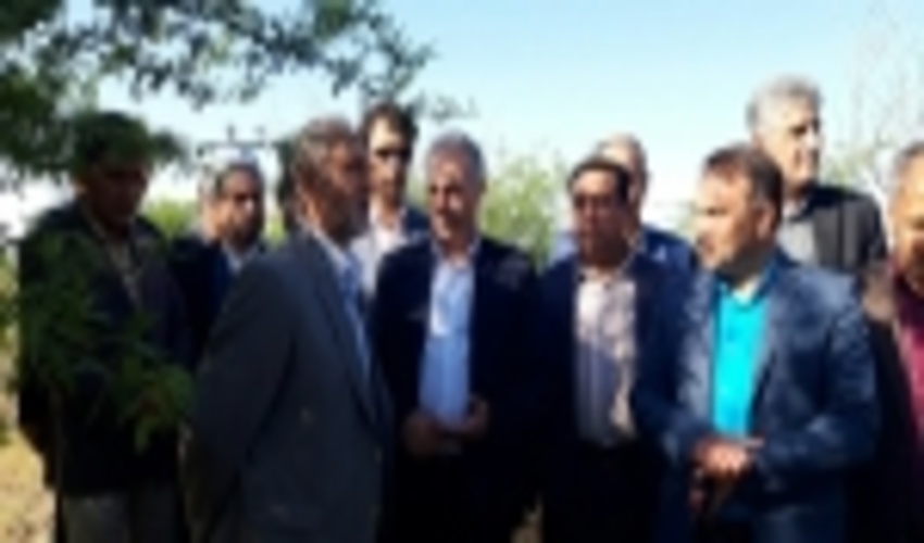 Six Trillion RLs to Be Spent on Forestry in Zagros provinces
