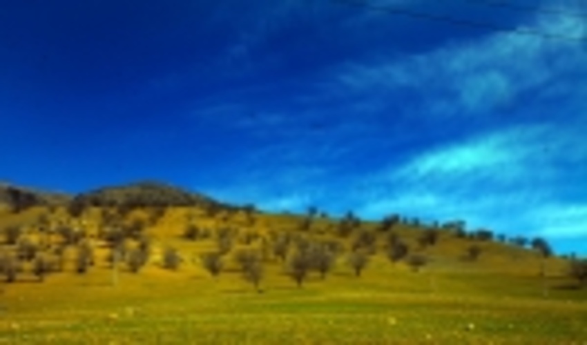 76 میلیون هکتار از اراضی مرتعی کشور ممیزی شد