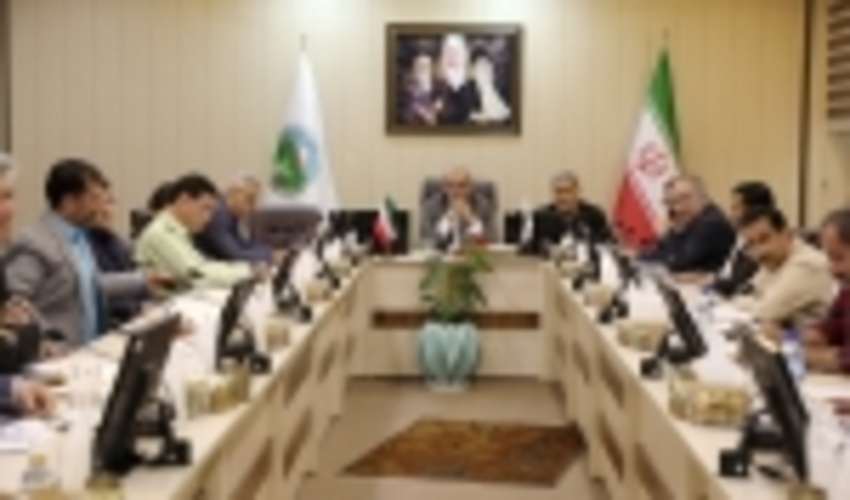 رییس سازمان جنگل ها بر مستندسازی اثربخشی طرح های منابع طبیعی تاکید کرد