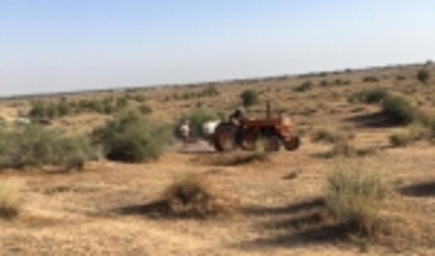 مبارزه با حمله ملخ های صحرایی به عرصه‌های منابع‌طبیعی استان بوشهر 