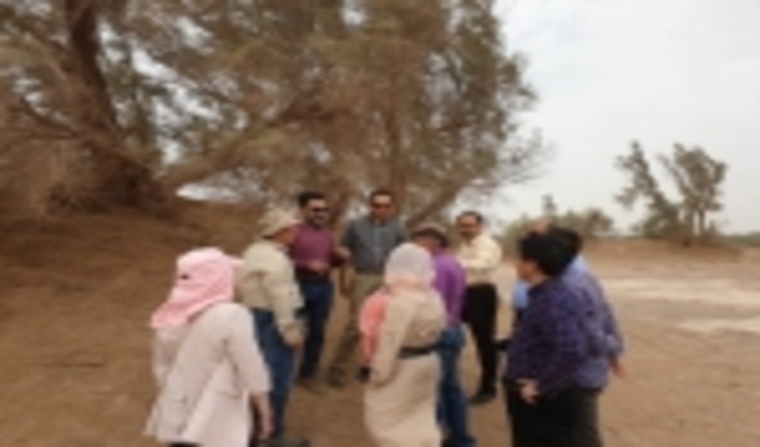 بازدید گروه تحقیقاتی چین از پروژه های مقابله با بیابان زایی کرمان