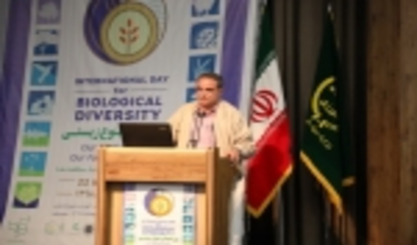 توجه به منابع طبیعی باید به اولویت زندگی ما تبدیل شود