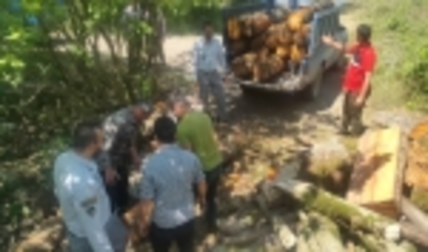 کشف و ضبط چوب آلات قاچاق از مخفیگاه متخلفین در عباس آباد 