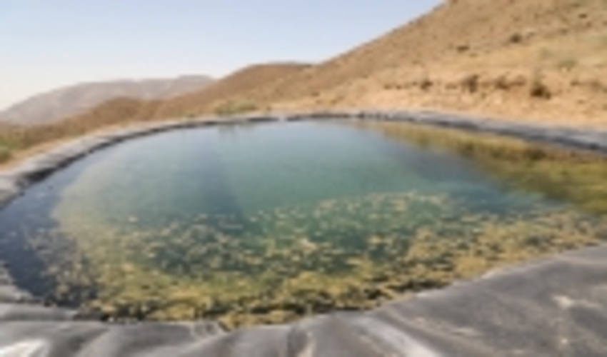 بازدید از طرح الگویی آبخیزداری در منطقه وردیج تهران 