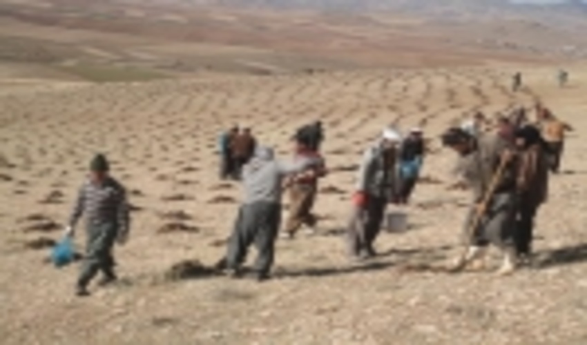 ابلاغ  آيين نامه اجرايي بند ب ماده 29 به ادارات كل منابع طبيعی كشور